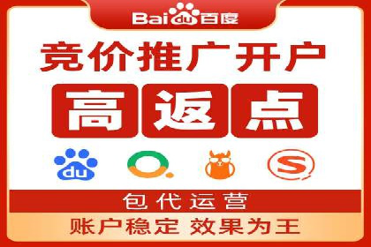 百度广告推广实战案例解析